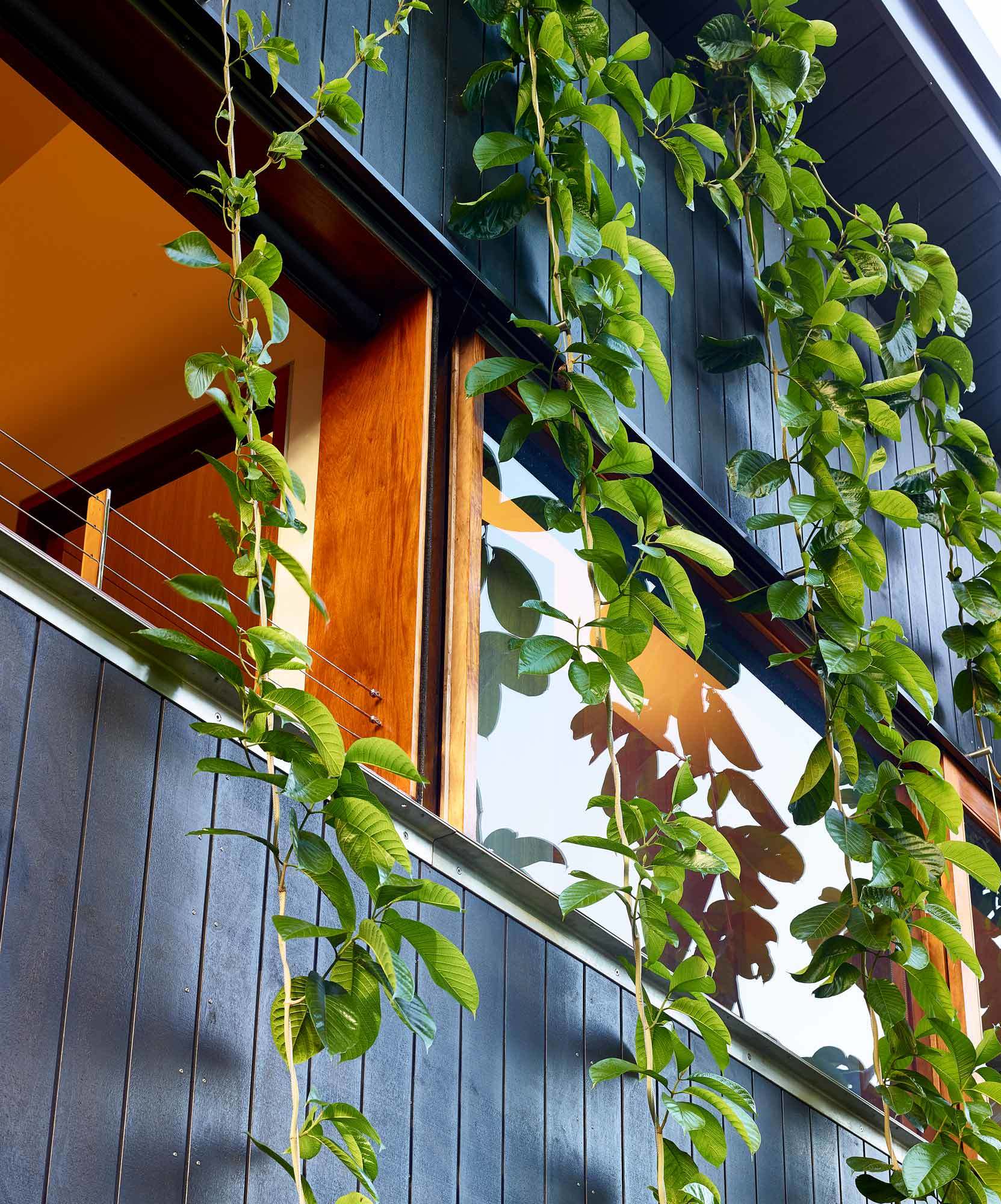 Bramston Street Residence - Full Width Openings