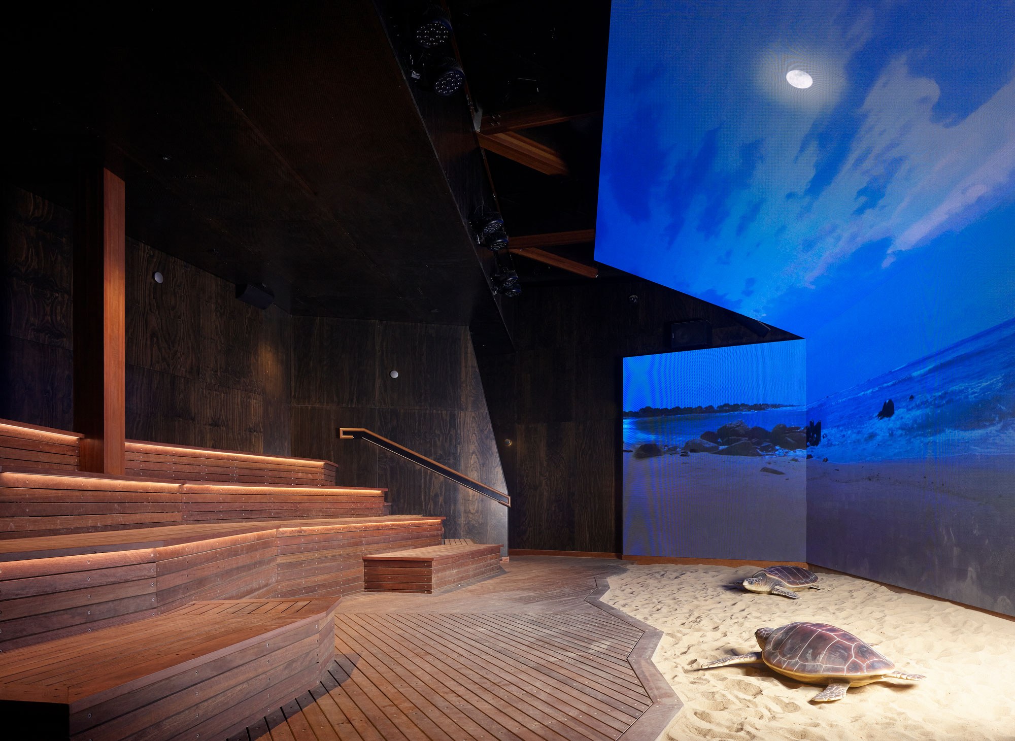 Mon Repos Turtle Centre Feature - Photographer Scott Burrows