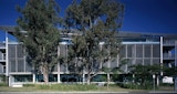 Elevation view of multi-media studio building designed by KIRK. Two large paper bark trees and shrubs sit in front of building alongside street.