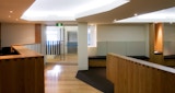 commercial interior architecture of office / clinic. Timber and carpet flooring inside Periocare Office architecture design Kirk Studio.