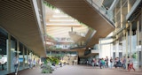 Daytime Internal Stair Feature Render for James Cook University Technology Innovation Complex, designed by KIRK Studio.