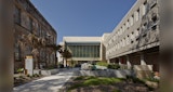 KIRK UQ LIB University of Queensland Learning Innovation Building - Educational Architectural Building - Brisbane Queensland - External View