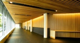 KIRK UQ Sir LIew Edwards Building Interior - St Lucia Brisbane Queensland - Educational Architectural Building - Internal Hallway View