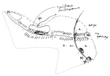 KIRK Bandar Baru Klang - Selangor Malaysia - Urban Architecture Master Plan - Concept Sketch