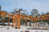 KIRK Mon Repos Turtle Centre Timber tree column erected on site | Photo by Glen David Wilson