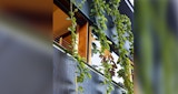 KIRK Bramston Residence - Tarragindi Queensland - Residential Architectural Building - External Plant Feature