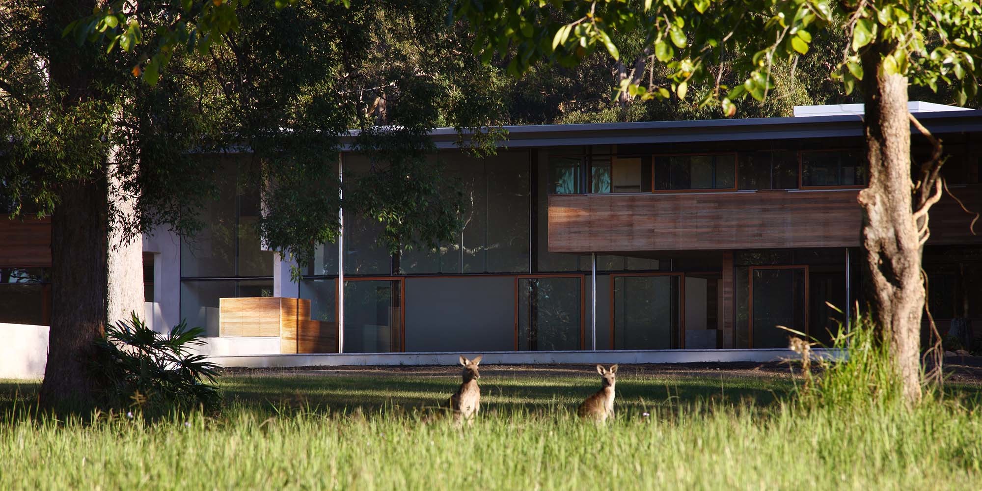 KIRK Tinbeerwah Residence - Noosa Queensland - Residential Architecture Building - External View With Kangaroos